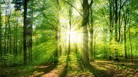 Responsabilidad centrada en el cliente - responsabilidad centrada en el cliente